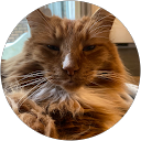 George Mnayrji profielfoto